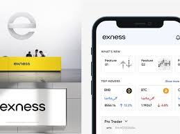 Complete Guide to Setting Up Your Exness Mt5 Platform