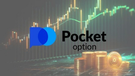 Everything You Need to Know About Broker PocketOption 15