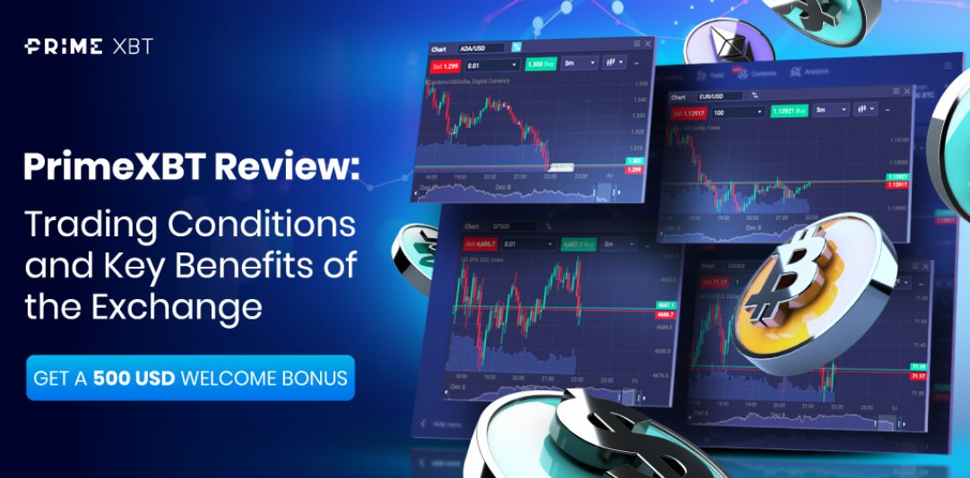 Exploring the PrimeXBT Website Your Ultimate Trading Platform